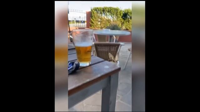 новая подборка смешных видео! обещаю смех220