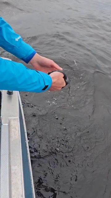 Миксуем рыбалку в Самаре
https://rybalka63.ru
#рыбалкасгидом #трофейнаярыбалка #рыбалкавсамаре