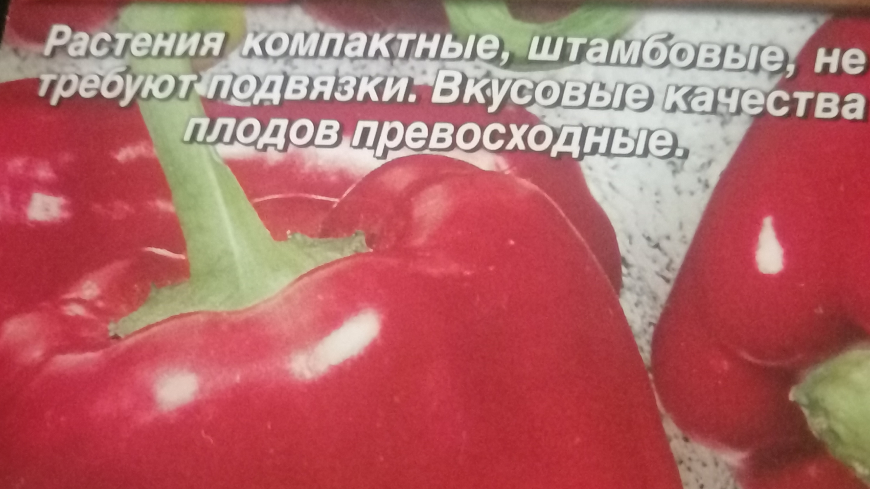 Посев раннеспелого болгарского перца "Крепыш" 19.02.2025