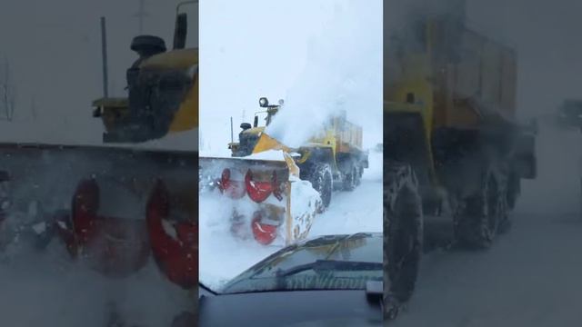 Терибека