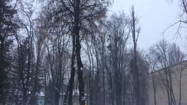 Доброе утро Киев