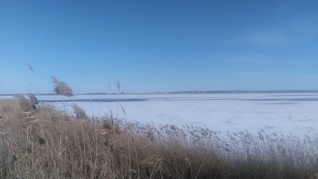VID_20250220_095847