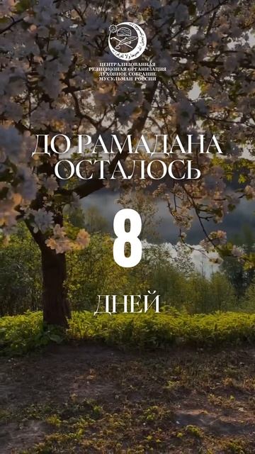 Рамадан #shorts