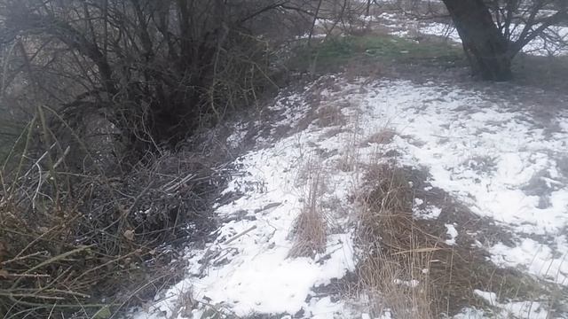 VID_20250219_144739
