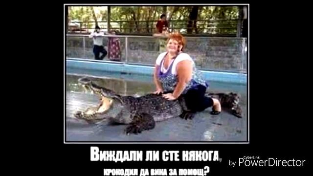 Слайдшоу - вицове и смешки
😺