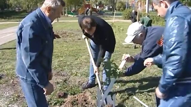 48 тысяч саженцев пополнили лесной фонд Сергиево-Посадского района