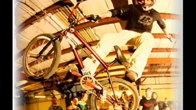 dave mirra (worlds greatest)