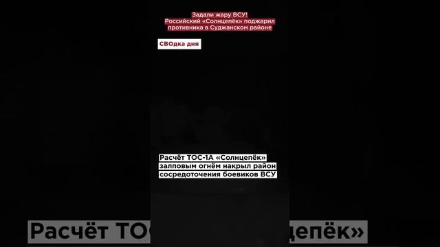 Задали жару ВСУ! Российский «Солнцепёк» поджарил противника в Суджанском районе