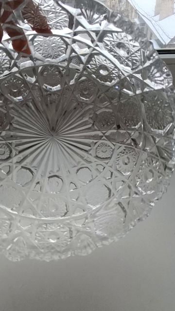VID_20250216_151537