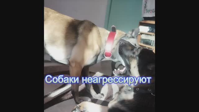 Отдыхаем о тренировок