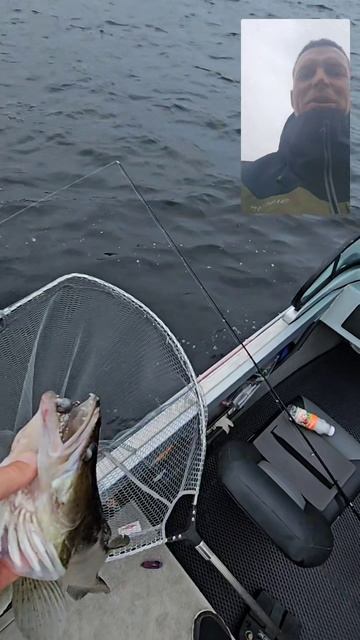 Трофейная рыбалка с гидом Spinningist63 в Самаре
https://instagram.com/spinningist63 #рыбалкасгидом
