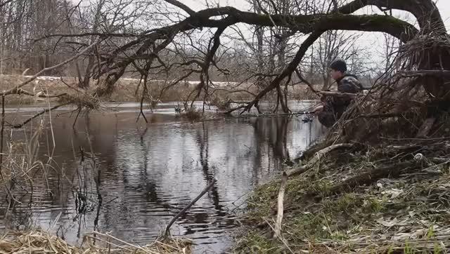 РЫБАЛКА  на  ПОПЛАВОК на открытой воде с берега .Что с рекой стало  в наше отсутствие.