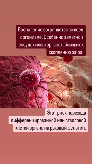 Лишний жир - это опасно