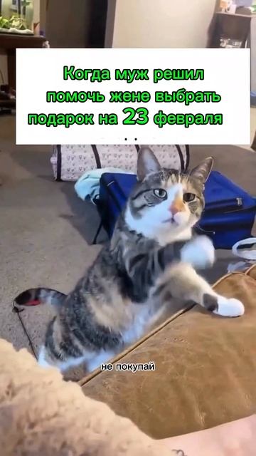 ozon в помощь 🤣 #23февраля #23февраляподарок