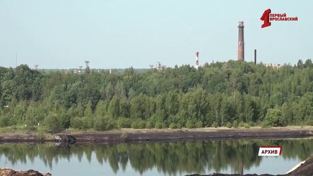 Экологические проблемы Ярославской области обсудили в Совете Федерации