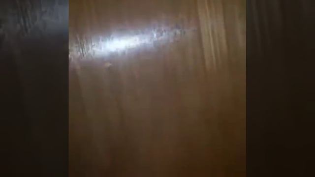 Ахахахах не плохая проверка