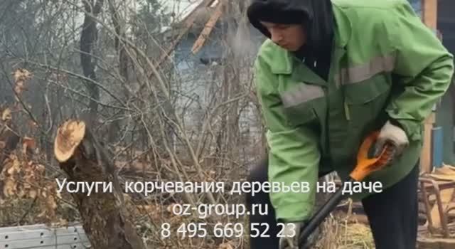 Услуги корчевания деревьев на даче. Выезд садовников по Москве и области. Звоните и заказывайте!