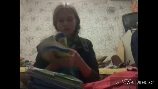 Что в моем школьном рюкзаке?/мандарины?!