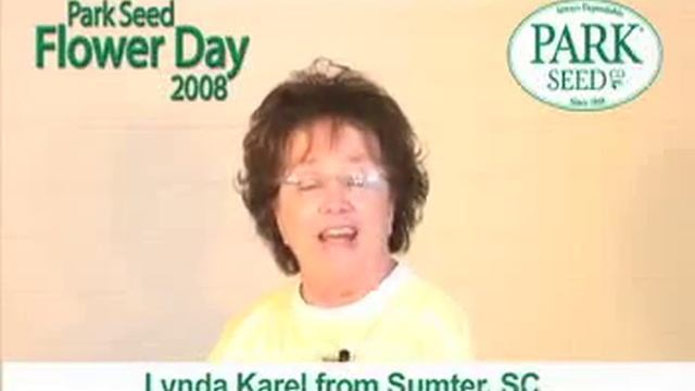 Park Seed Flower Day 2008: Lynda Karel
