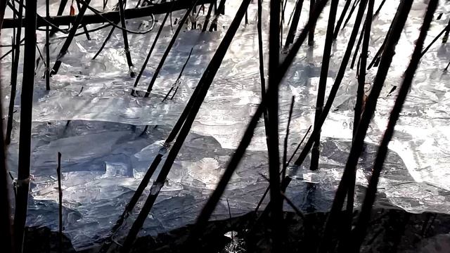 Зимняя зарисовка. Волга. Царицынская пойма.