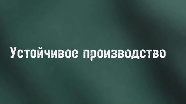 Экологические проблемы современных брендов.