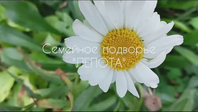 Добро пожаловать в Лепоту