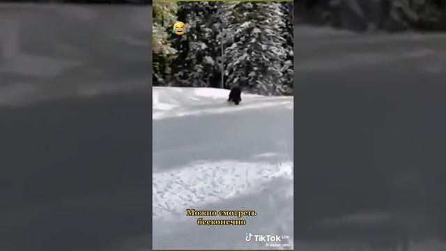 Это можно смотреть бесконечно 😂😆🤣