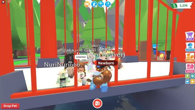 СТИВ УКРАЛ У МЕНЯ КИЦУНЕ в АДОПТ МИ!!! / Roblox Adopt Me 
Кот Леонард