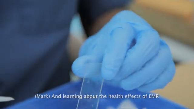 Unveiling the Impact of EMF Radiation on Blood Circulation How EmGuarde Can Safeguard Your Health_