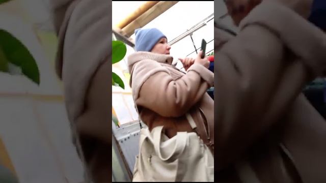 Репортаж Лео из лимонариума