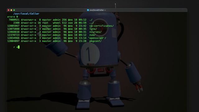 bash r+