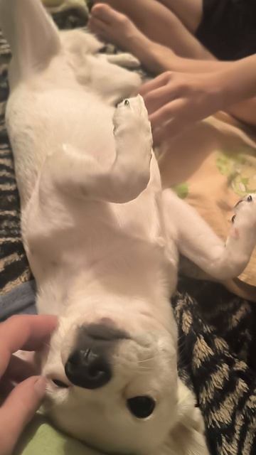 Рики кайфует