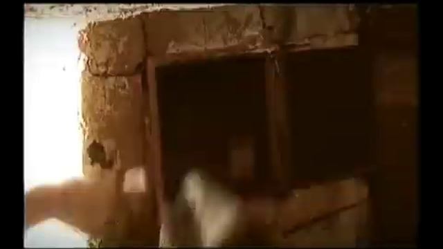 Идите вы в баню