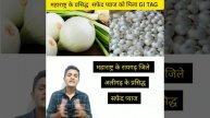 महाराष्ट्र के प्रसिद्ध सफेद प्याज को #GITAG #shorts #212 #currentaffairsshorts