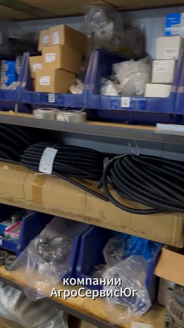 5 января 2025 г.