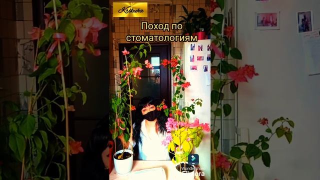 влог