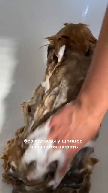 Вы еще сомневаетесь? 🤔