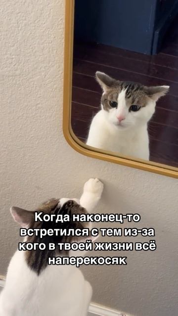 Как говорил великий ученый Альберт Эйнштейн: «наше мышление создает такие проблемы
