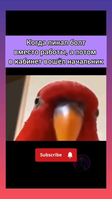 Юмор | Meme Clouds