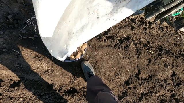 Посадка картоплі. Нові підходи. Мінімальні трудозатрати.