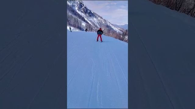 1000014490.mp4