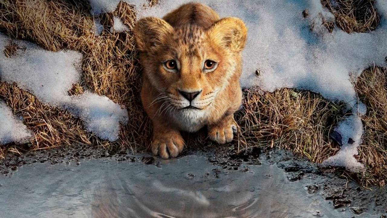 Муфаса Король Лев смотреть фильм (2024) онлайн HD бесплатно