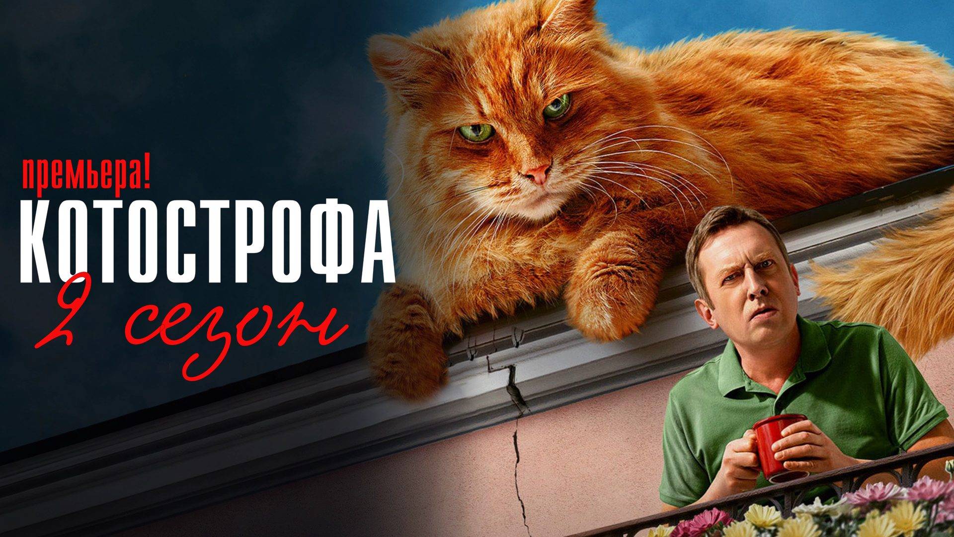 Котострофа 2 сезон 1-12 серия сериал Комедия Мелодрама СТС 2024