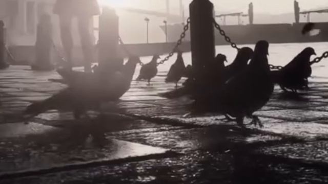 Ты любил меня Елена Прошкина Автор стихов Валентина Яковлева Автор музыки Елена Прошкина