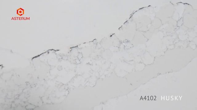Кварцевый камень Asterum Husky (Хаски)