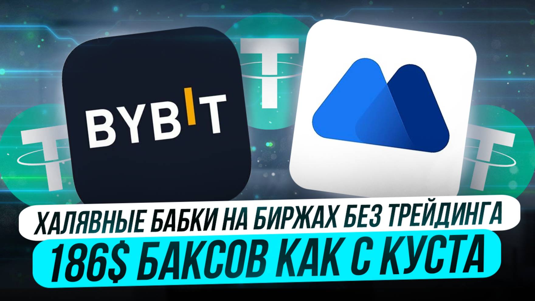 186$ БАКСОВ ЗА ЯНВАРЬ КАК С КУСТА | ХАЛЯВНЫЕ БАБКИ НА БИРЖАХ БЕЗ ТРЕЙДИНГА