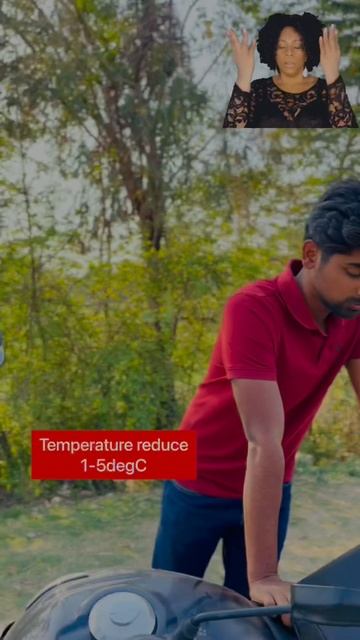 Why we rest under trees in summer? Transpiration process #shorts #science #biology #education