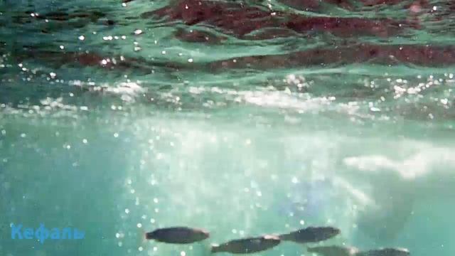 Средиземное море.Ичмелер. Часть 1.