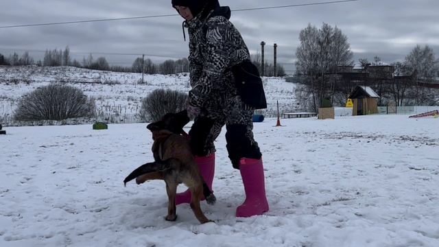 Малинуа Джанико Панишер (Зод) 4 месяца!