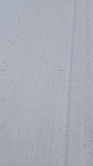 Идëм на проверку